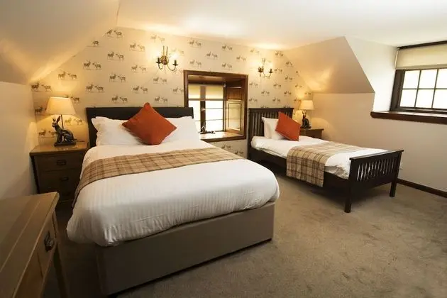 Tek Büyük Yataklı Oda, Banyolu/Duşlu (with Triple option)