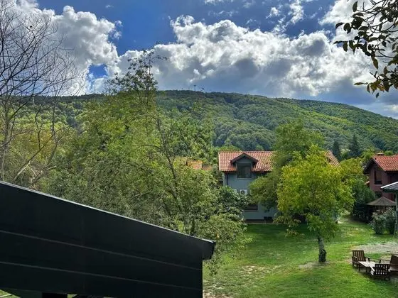 3+1 Suite,Bahçe Manzaralı,Hamamlı