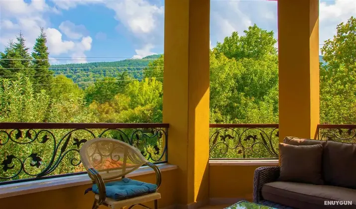 Deluxe Villa Oda