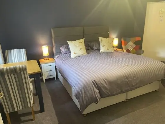 Deluxe Tek Büyük Yataklı Oda