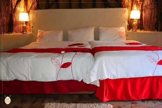 Standard Oda, 1 Yatak Odası