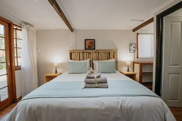 Family Oda (Dolphin)