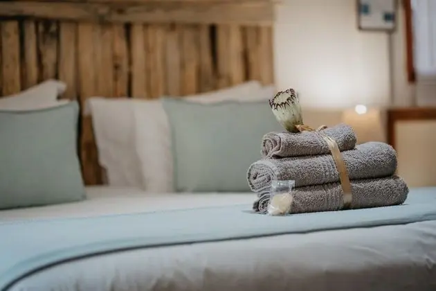 Family Oda (Dolphin)