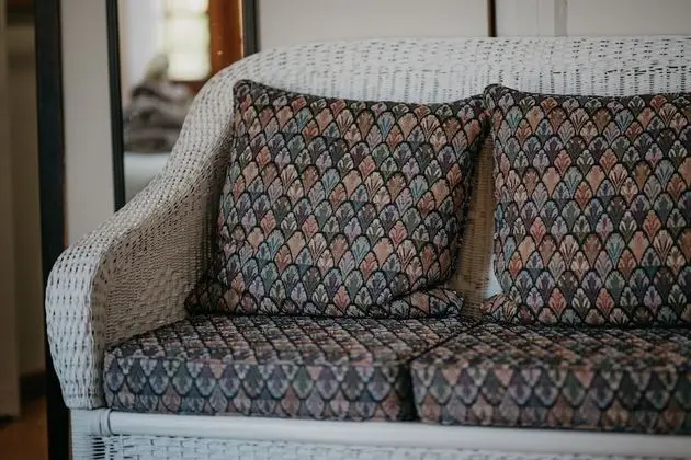 Family Oda (Dolphin)