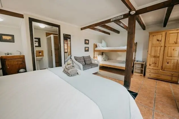 Family Oda (Dolphin)