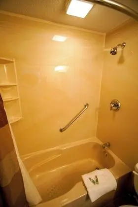 Çatı Katı (Loft), 2 Yatak Odası