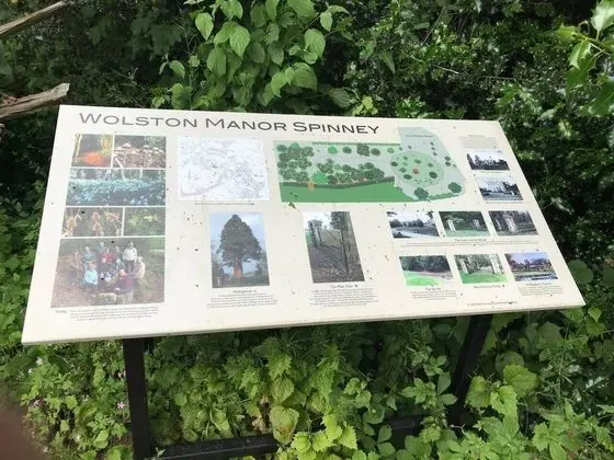 Kır Evi, 1 Büyük (Queen) Boy Yatak ve Çekyat