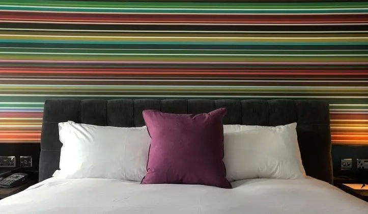 Family Room (1 King & 1 Rollaway Bed)