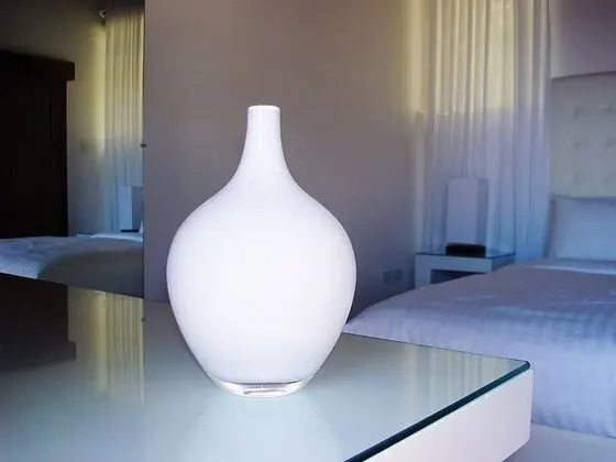 Deluxe Oda, Birden Çok Yatak, Okyanus Manzaralı