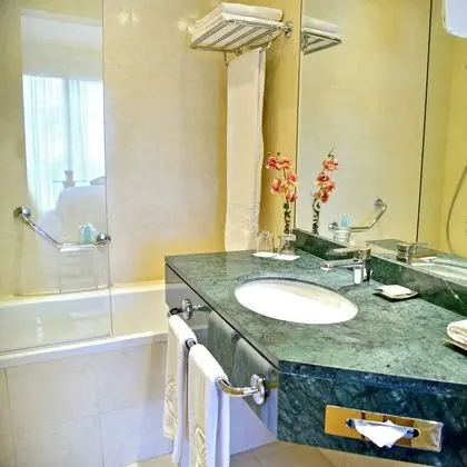 Süit, 1 Yatak Odası, Business Dinlenme Salonu Kullanımı, Şehir Manzaralı