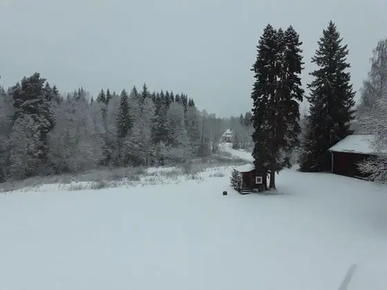 Basic Tek Kişilik Oda, Bahçe Manzaralı
