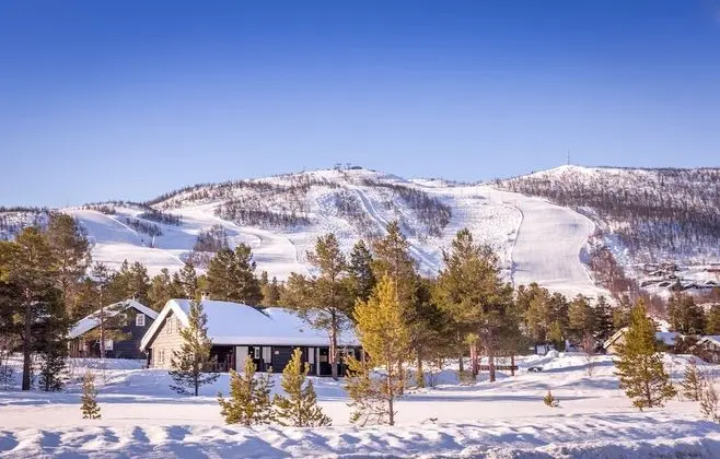 Standard Kulübe, 3 Yatak Odası