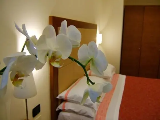 Economy Tek Büyük veya İki Ayrı Yataklı Oda