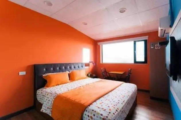Standard Tek Büyük Yataklı Oda (Orange)