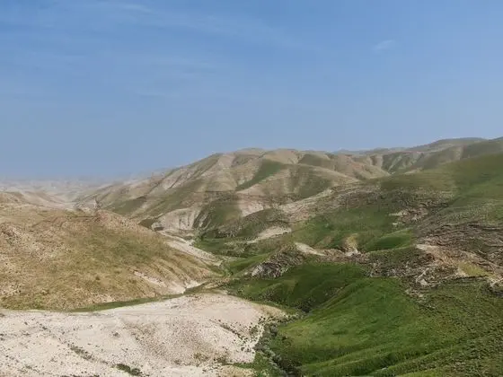Kulübe