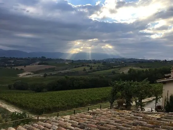 Deluxe Tek Büyük Yataklı Oda, 1 En Büyük (King) Boy Yatak ve Çekyat