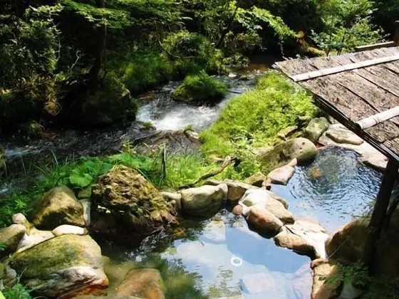 Traditional Süit (Japanese Western, with Private Spa)