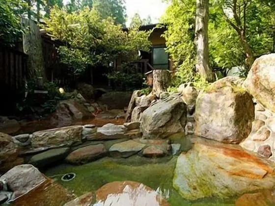 Traditional Süit (Japanese Western, with Private Spa)