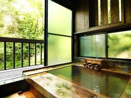 Traditional Süit (Japanese Western, with Private Spa)