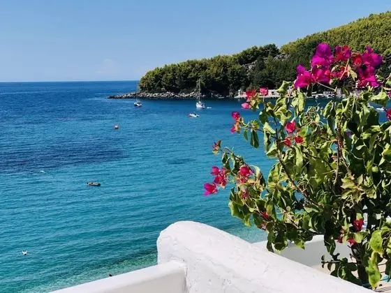 Superior Tek Büyük Yataklı Oda, Balkon, Deniz Manzaralı