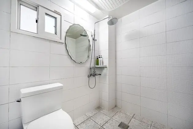 Basic Oda, 1 Yatak Odası (Ambassa)