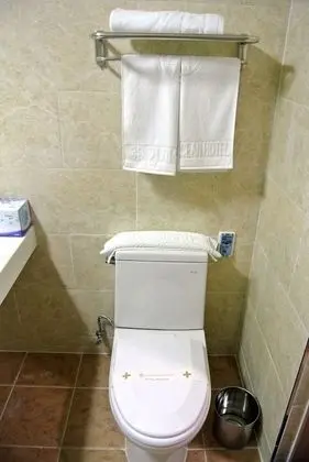 Standard Oda (B)