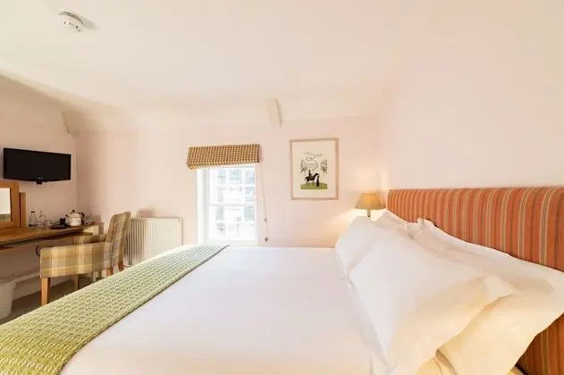 Standard Tek Büyük Yataklı Oda, Banyolu/Duşlu