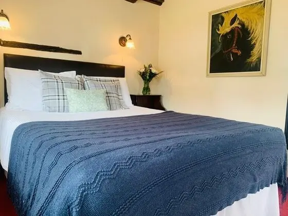 Classic Tek Büyük Yataklı Oda