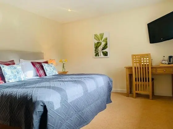 Comfort Tek Büyük veya İki Ayrı Yataklı Oda