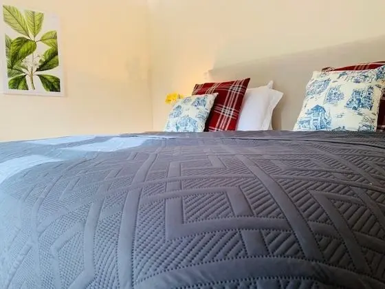 Comfort Tek Büyük veya İki Ayrı Yataklı Oda