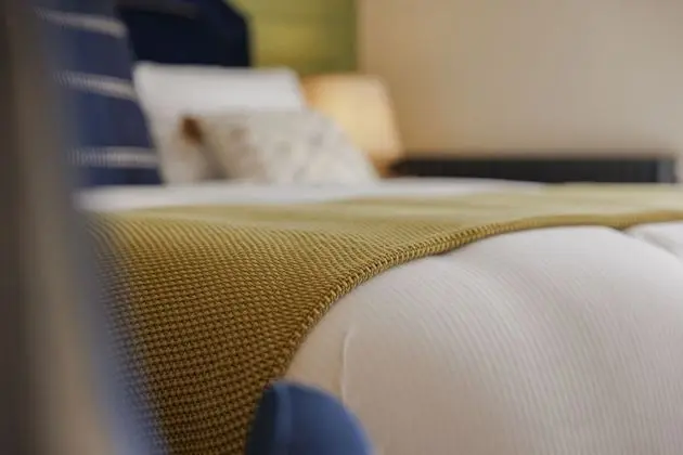 Deluxe Tek Büyük Yataklı Oda, 1 En Büyük (King) Boy Yatak