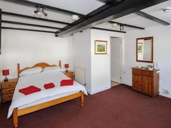 Tek Büyük Yataklı Oda, Banyolu/Duşlu (Oakhill Suite)