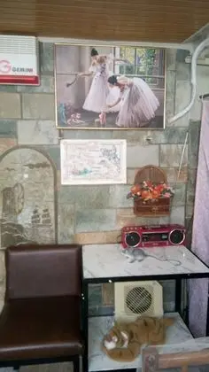 Family Villa, Şehir Manzaralı