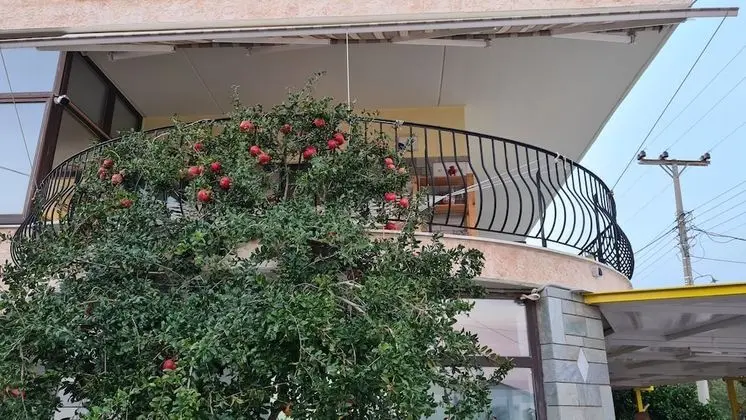 Villa Honey (One space room)