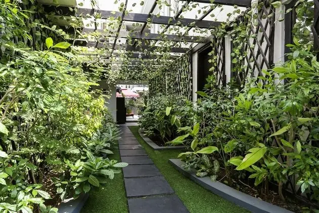 Premium Çatı Katı Süiti (Penthouse), 3 Yatak Odası