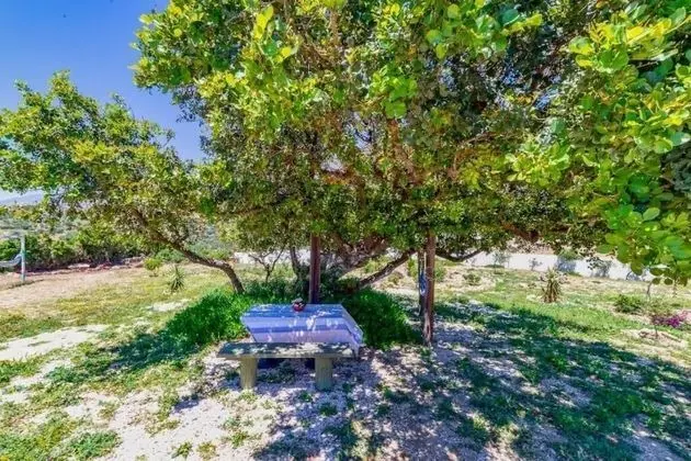 Ev, 2 Yatak Odası, Veranda
