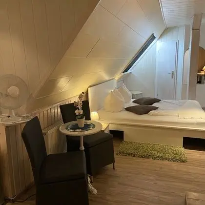 Tek Büyük Yataklı Oda, 1 En Büyük (King) Boy Yatak, Sigara İçilmez