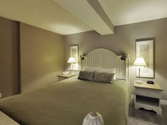 Süit, 1 En Büyük (King) Boy Yatak, Sigara İçilmez (One-Bedroom)