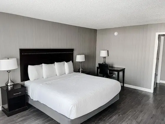 Oda (Courtyard Room 1 King Bed)