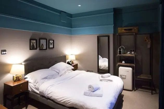 Deluxe Tek Büyük veya İki Ayrı Yataklı Oda