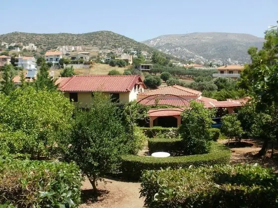 Luxury Villa