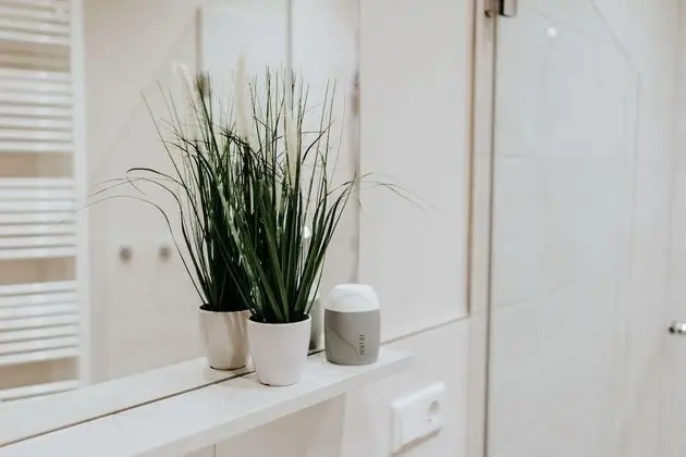 Classic Apart Daire, Özel Banyo, Avlu Manzaralı
