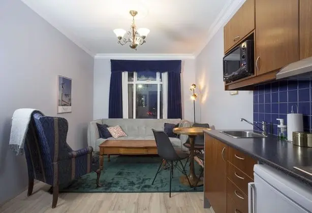 Apart Daire, 1 Yatak Odası (Njörður)