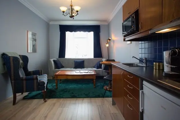 Apart Daire, 1 Yatak Odası (Njörður)