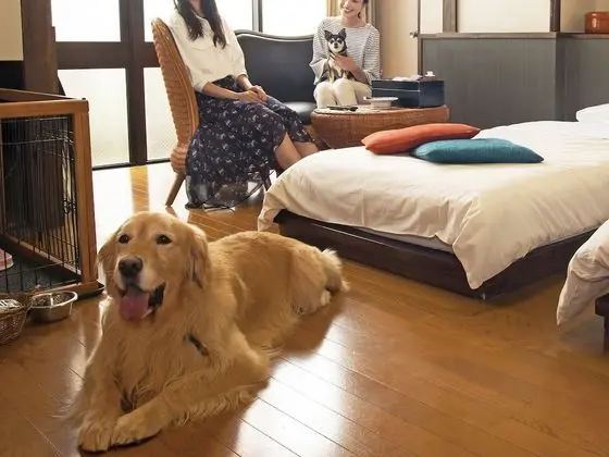 İki Ayrı Yataklı Oda, Sigara İçilebilir, Ortak Banyo (Dog Friendly, Annex)