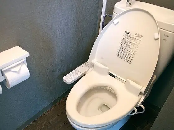 İki Ayrı Yataklı Oda, Sigara İçilebilir, Ortak Banyo (Dog Friendly, Annex)