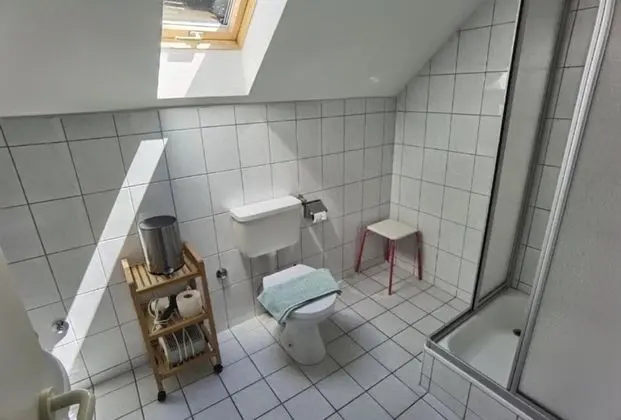 Superior Apart Daire, Özel Banyo, Göl Manzaralı (Säntis)