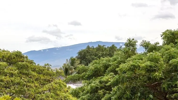 Daire, 3 Yatak Odası