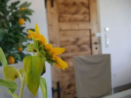 Apart Daire, Özel Banyo