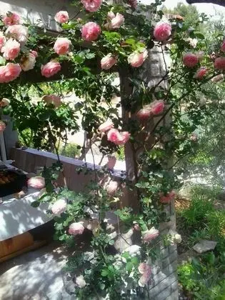 Ev (One Bedroom Holiday Home)